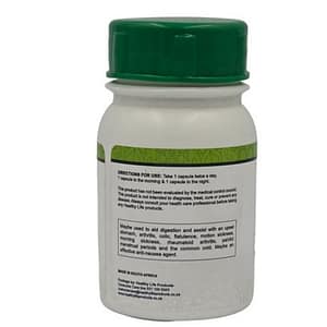 Healthy Life Ginger Capsules 500mg - 60
