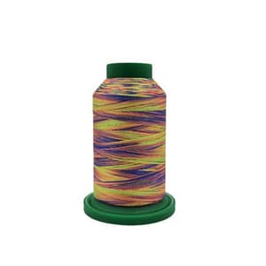 Multi- Colour Embroidery Cotton- Isacord Code-9981( 2 Pack)