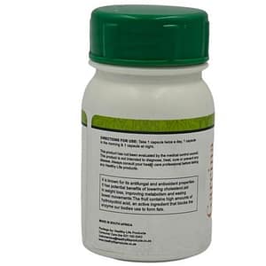 Healthy Life Garcinia Cambogia 500mg - 60 Caps-Weight Management Supplement