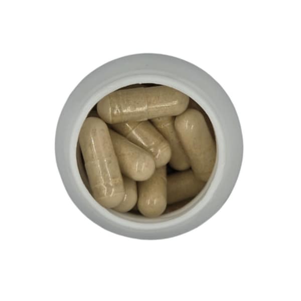 Healthy Life Garcinia Cambogia Weight Loss 500mg 60 Capsules 3-Pack - Image 3